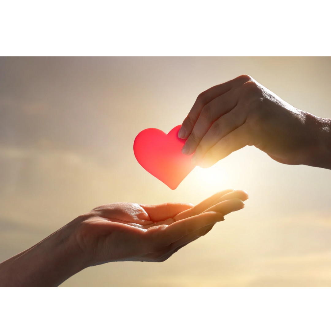 $25 Donation to join the mission.